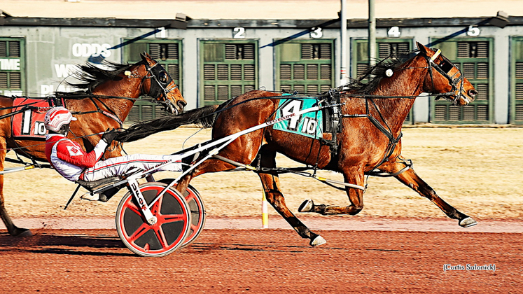 Brue Hanover