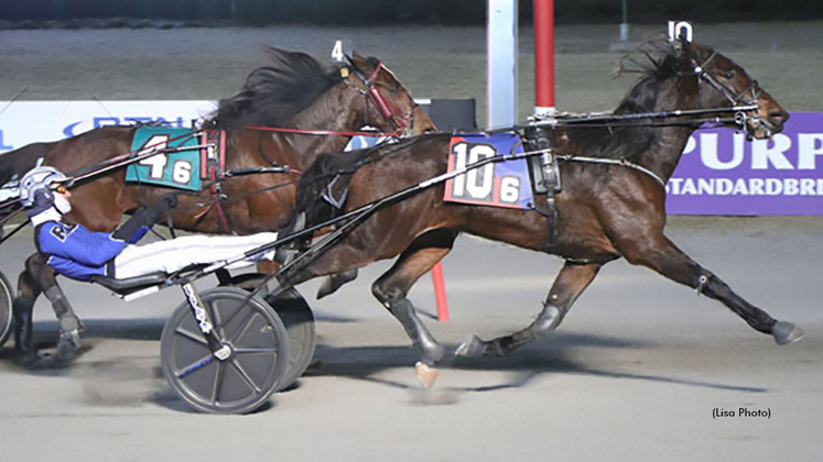 Lukes Bar winning at The Meadowlands