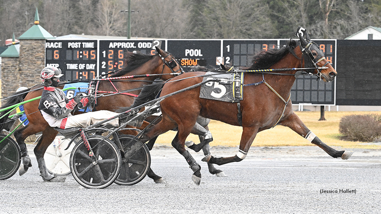 Busting With Pride winning at Saratoga Raceway