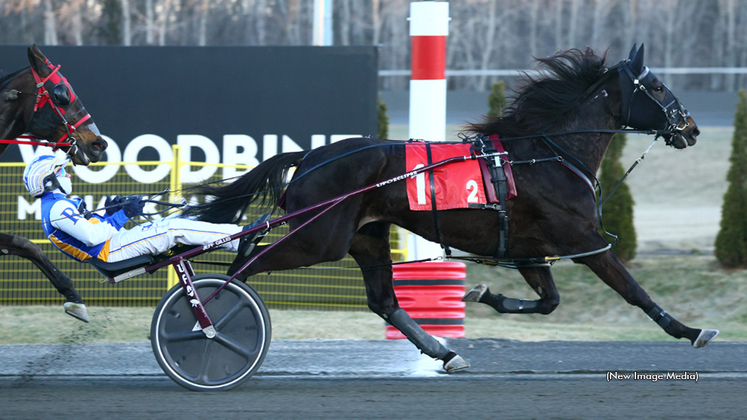 Fashion Frenzie winning at Woodbine Mohawk Park