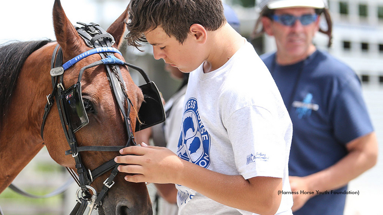 A youth interacts with a Standardbred at a Harness Horse Youth Foundation event