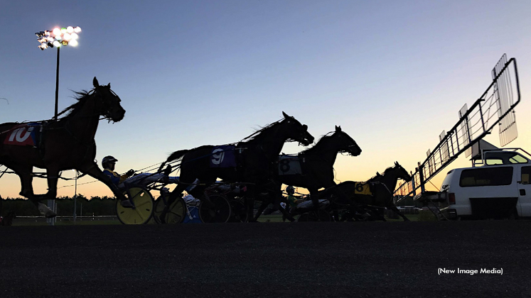 Harness racing action
