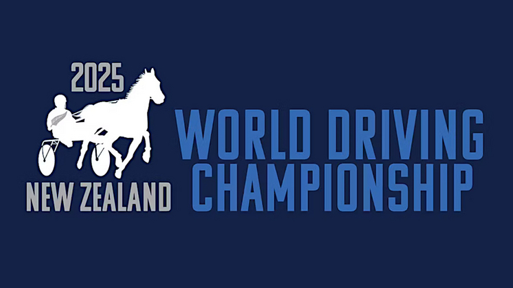 2025 World Driving Championship logo