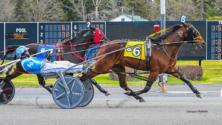 Alittlesidehustl N winning at Saratoga Raceway