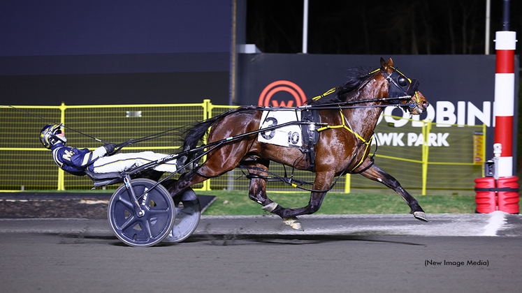Ayeaye Captain Deo winning at Woodbine Mohawk Park