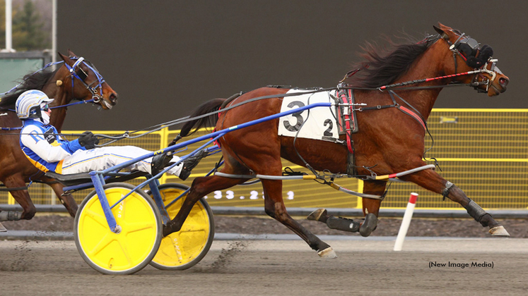 Century Jamila winning at Woodbine Mohawk Park