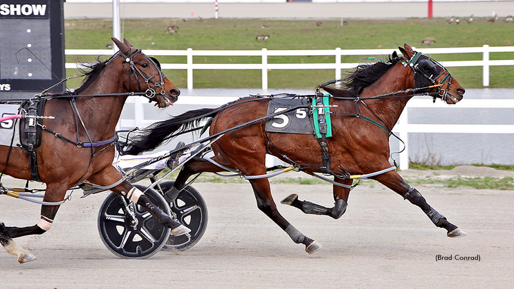 Dan Noble driving Terminator to record his 8,000th career driving win