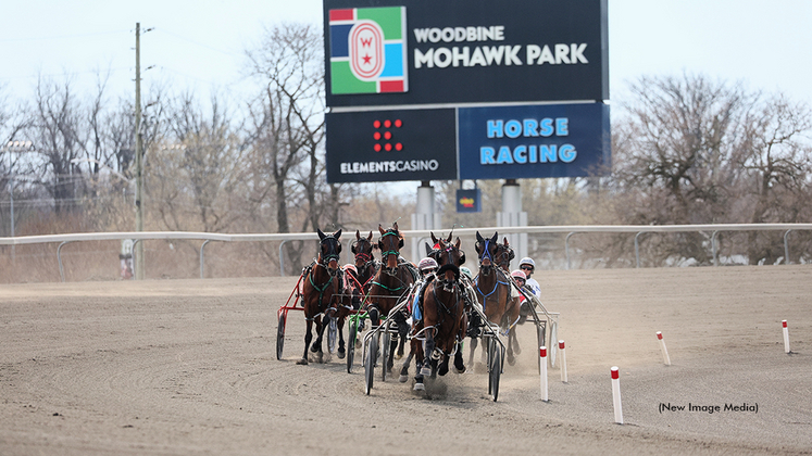 Horses qualifying at Woodbine Mohawk Park