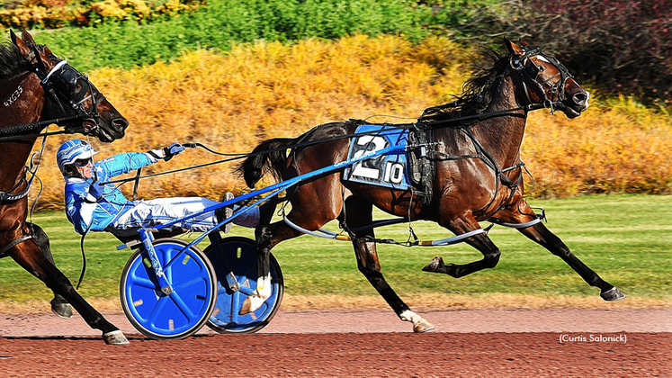 No Tresspassing winning at Pocono Downs