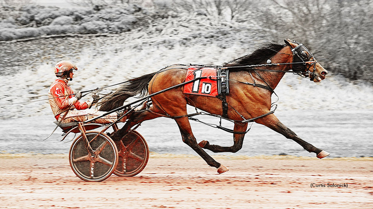 Oogleville winning at Pocono Downs