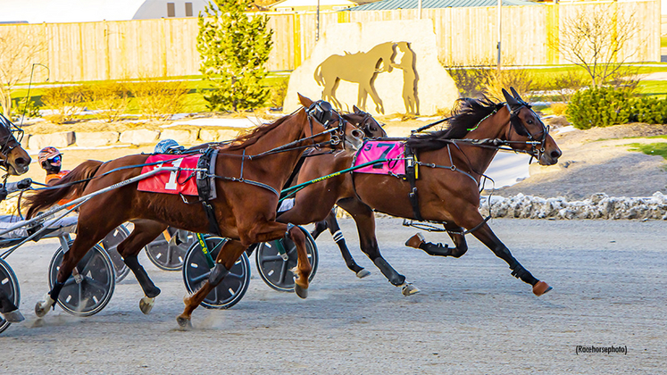 RRoyalPort-040825-Racehorsephoto-1024px