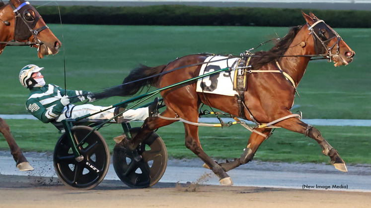 Seaside Diva winning at Yonkers Raceway