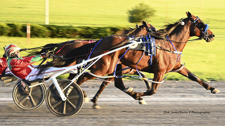 Sheer Terror winning at Rosecroft Raceway