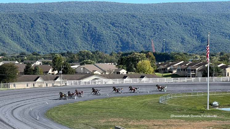 Harness racing at Shenandoah Downs