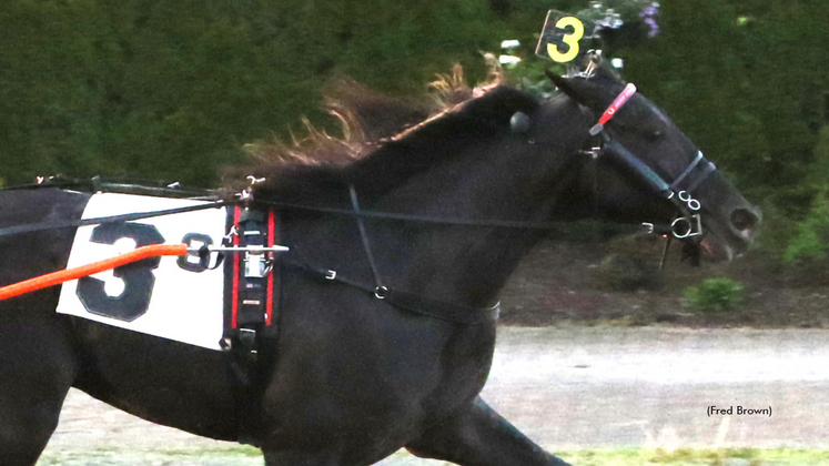 Asteroid winning at Tioga Downs