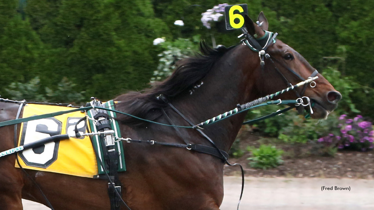 BB Lucky Boy winning at Tioga Downs