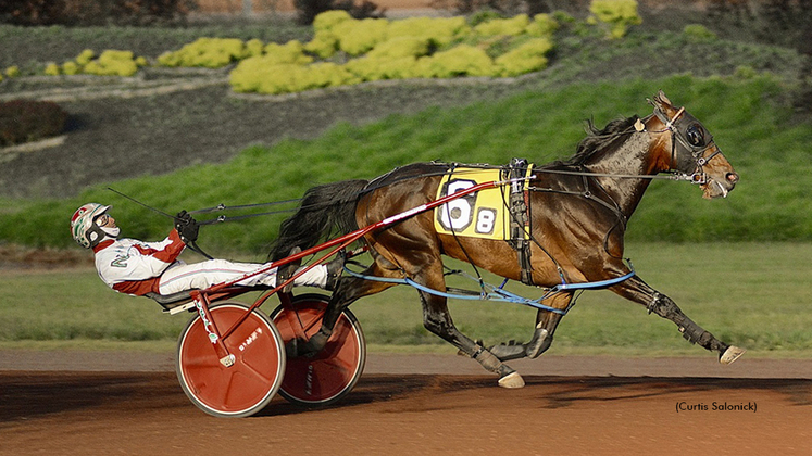 Belmont Major N winning at Pocono Downs