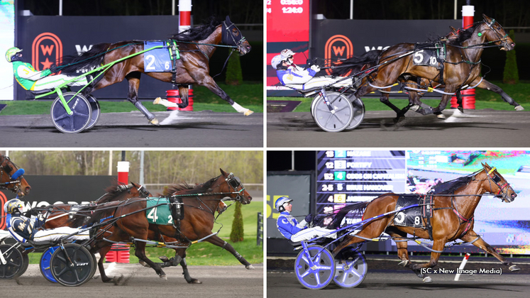 Paquet, Funtime Bayama, Brue Hanover and Sorcha Seelster
