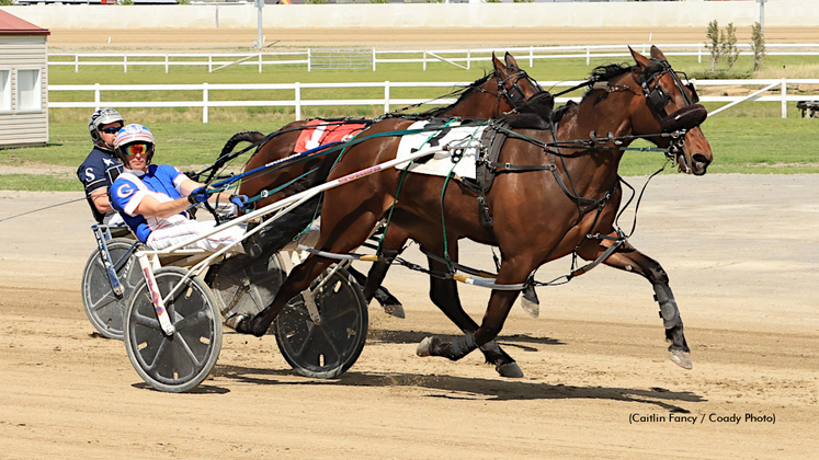 Custard Dolce, winning at Century Downs