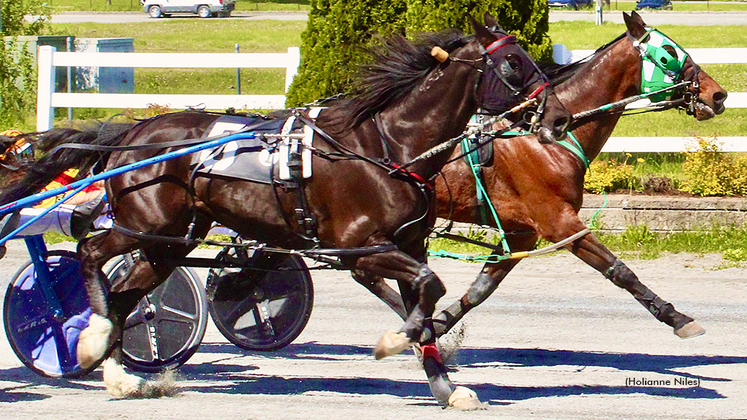 Golden Tree winning at Bangor Raceway
