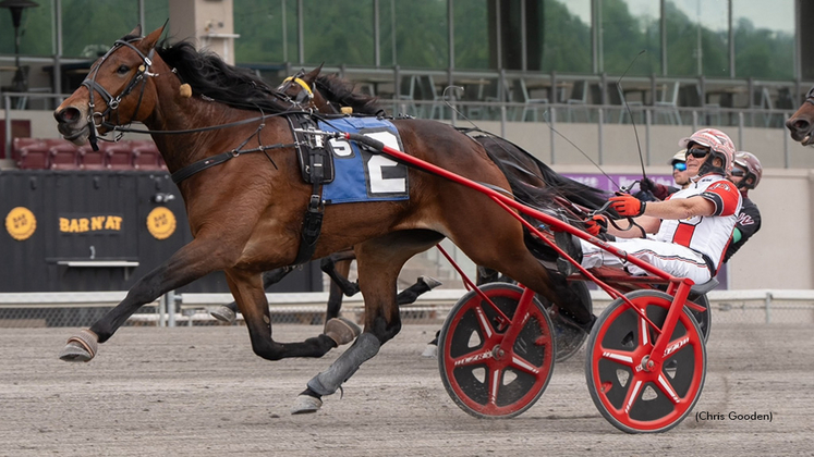 Hangover winning at The Meadows