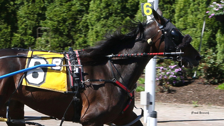 Hunting Zone winning at Tioga Downs