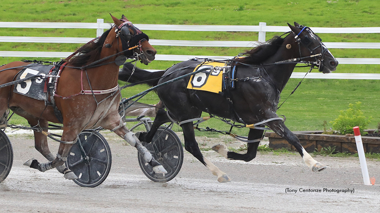 Muskateer Hanover winning at Oak Grove