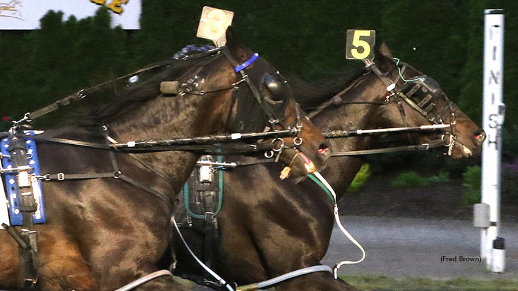 P L Princess C winning at Tioga Downs