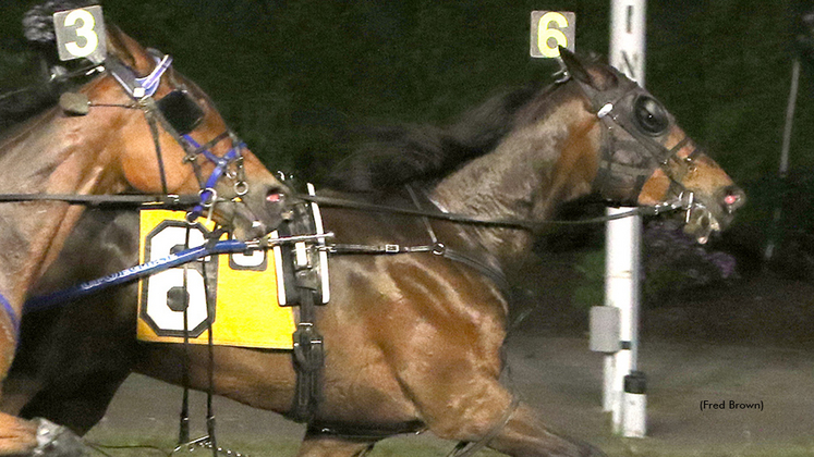 Purple Lord winning at Tioga Downs