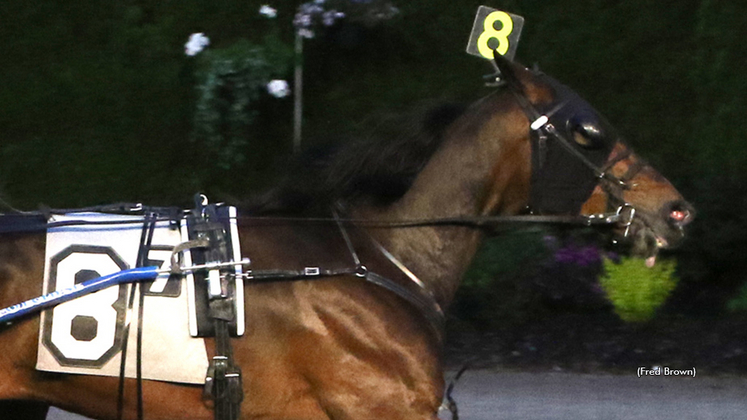 Purple Lord winning at Tioga Downs