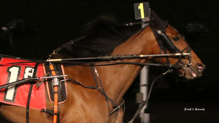 Wheelzablazin winning at Tioga Downs