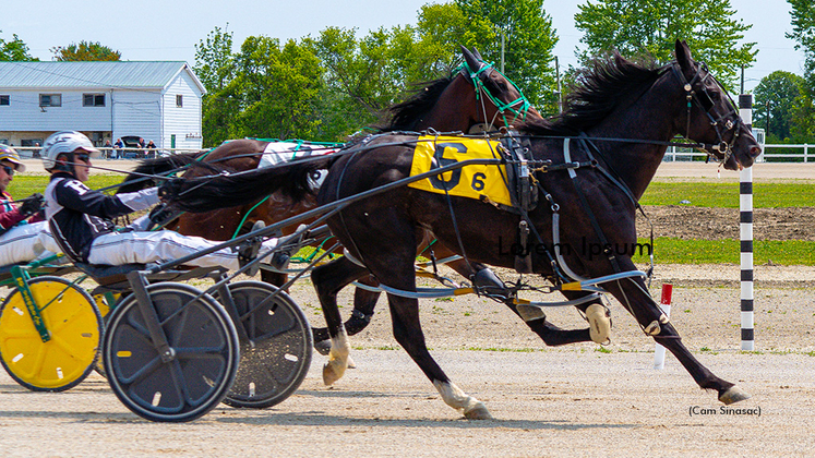 Arundel Hanover winning at Dresden Raceway