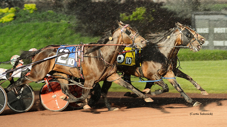 Belmont Major N winning at Pocono Downs