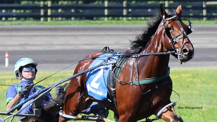 Caviart Amore Mio qualifying at Magical Acres