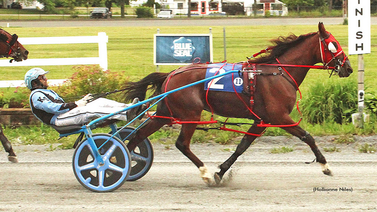 Dawn To Dark winning at Bangor Raceway