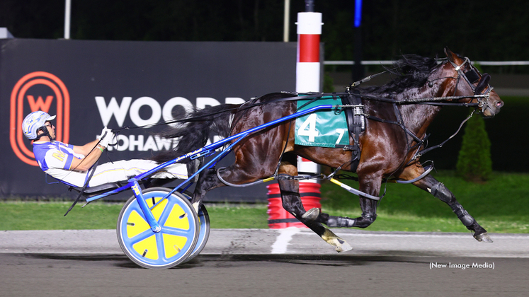 Lite Up The World winning at Woodbine Mohawk Park