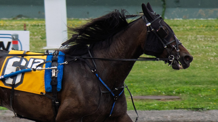 Makes Me Charlie winning at Buffalo Raceway