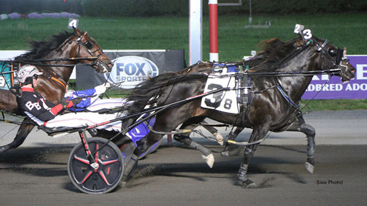 Making History winning at The Meadowlands