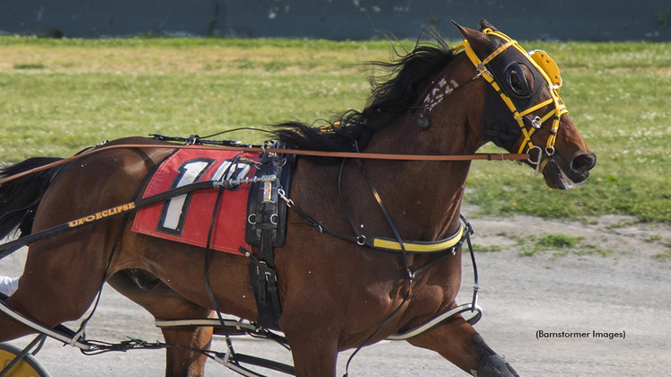 Melanion N winning at Buffalo Raceway