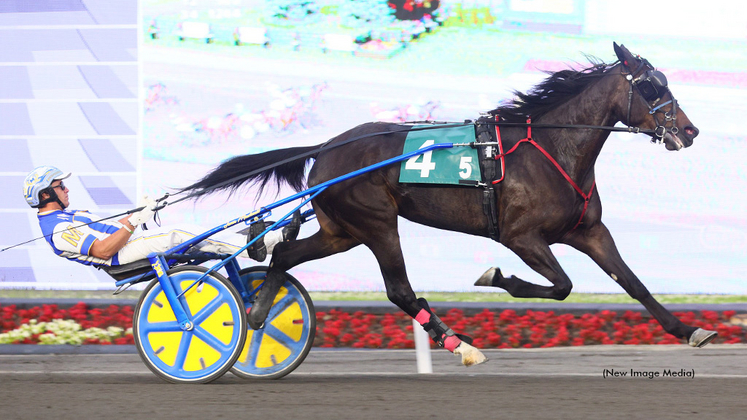 Monalishi winning at Woodbine Mohawk Park