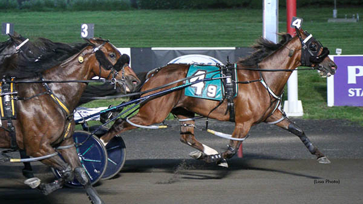 Oakwood Ardan IR winning at Meadowlands Racetrack