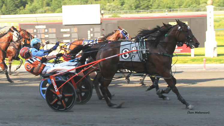 Ranaldi winning at Plainridge Park