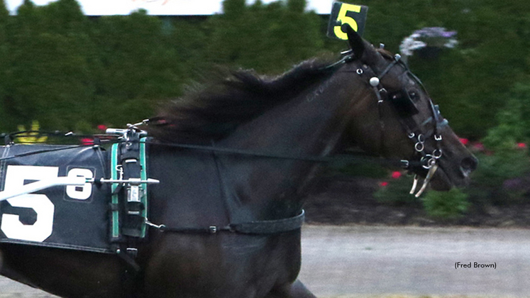 Seventh Gen winning at Tioga Downs