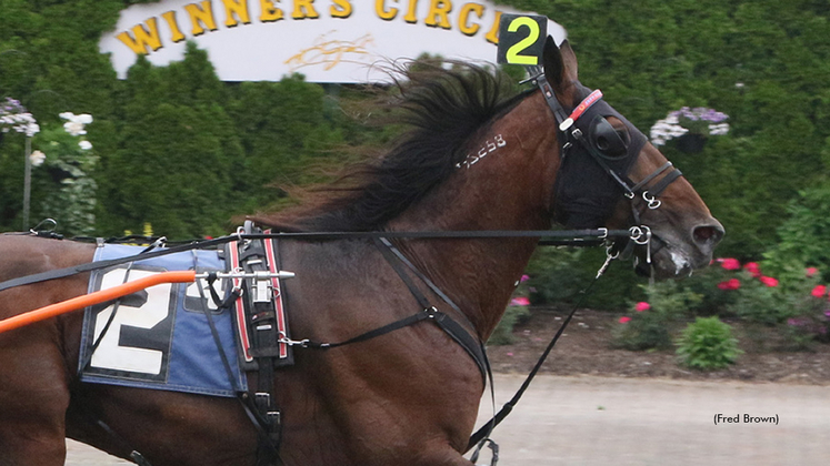 Stonebridge Reef winning at Tioga Downs