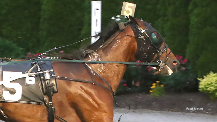 Talbotcreekwhiskey winning at Tioga Downs