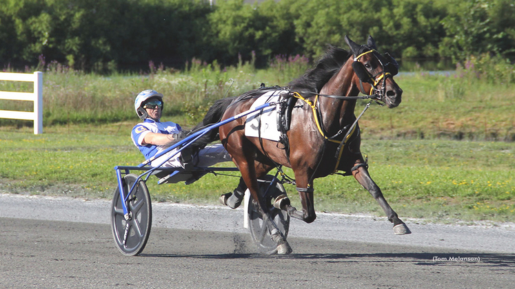 CornerStore-072125-TomMelanson-1024px
