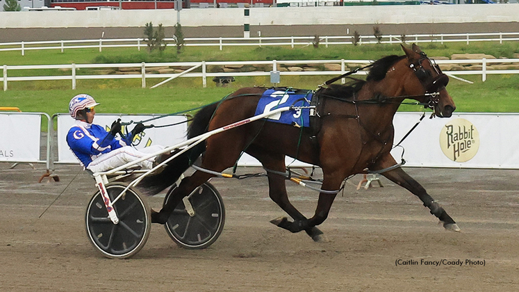 Custard Dolce winning at Century Downs