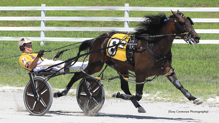 Erv Miller | Standardbred Canada