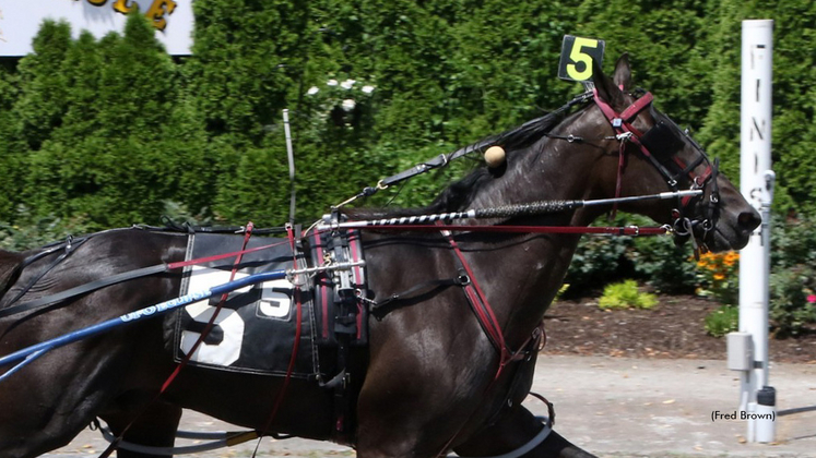 De La Hoya Hanover