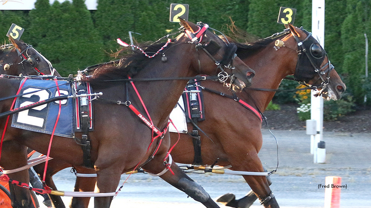 Elegant A winning at Tioga Downs